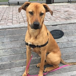 Meet your Posher, Caitlin